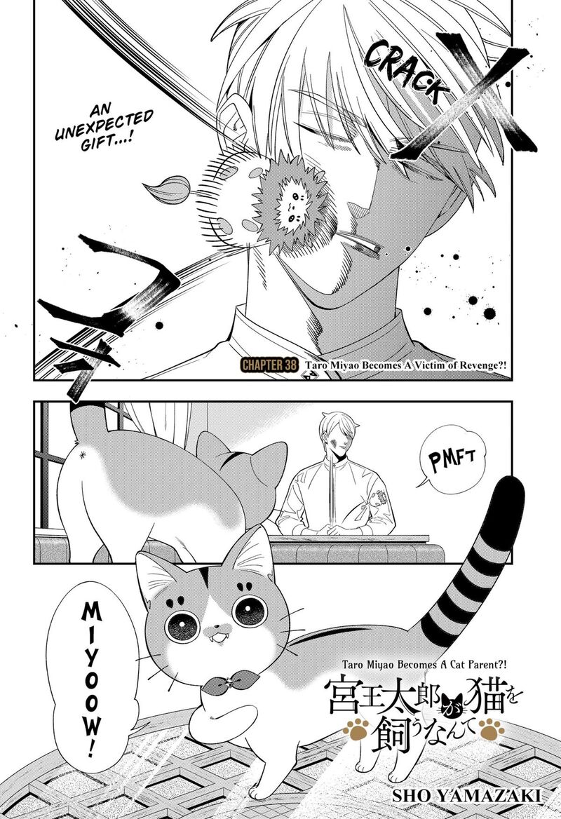 Miyaou Tarou Ga Neko Wo Kau Nante 38 2
