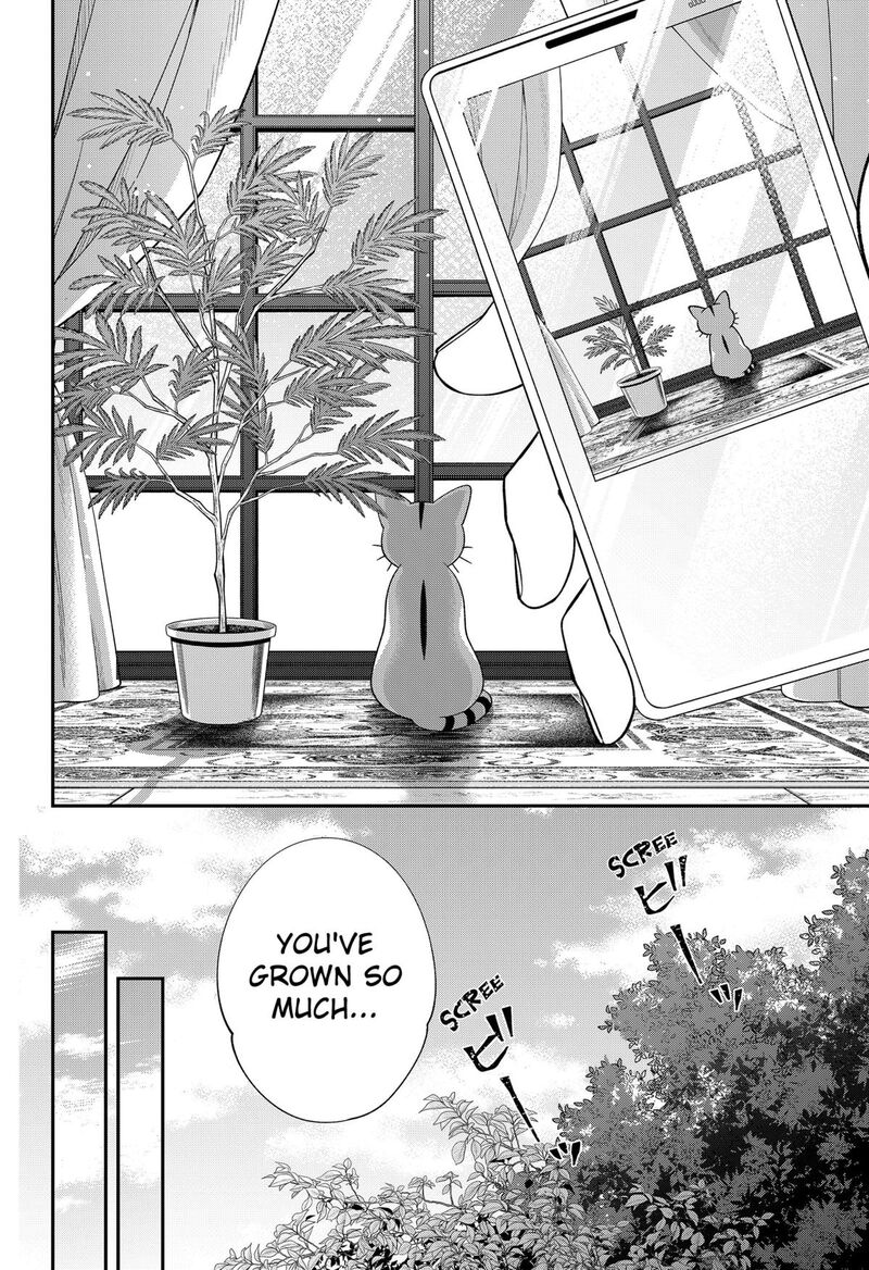 Miyaou Tarou Ga Neko Wo Kau Nante 40 4