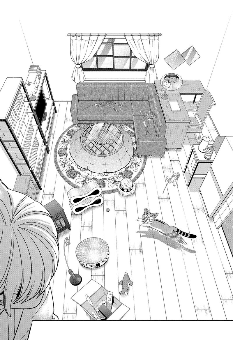 Miyaou Tarou Ga Neko Wo Kau Nante 40 6