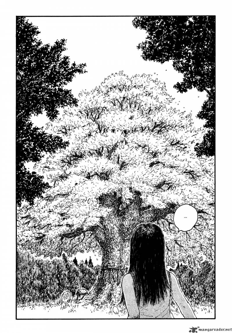 Miyoris Forest 1 17