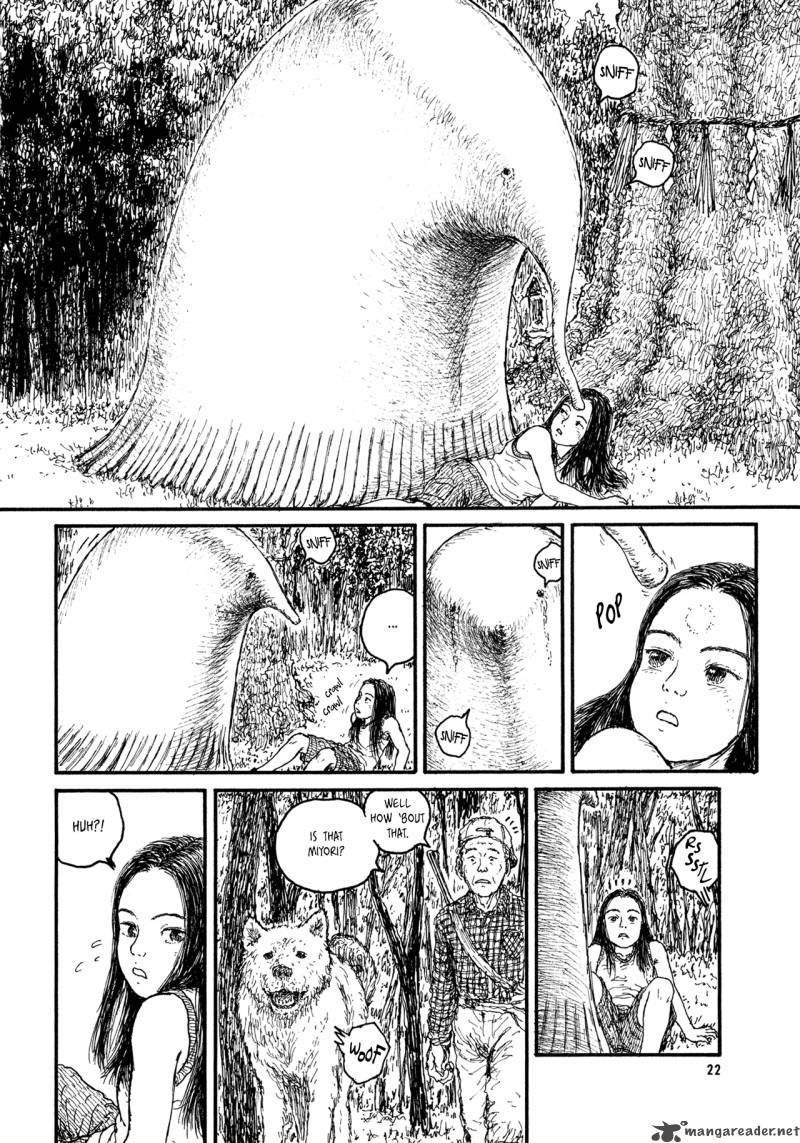 Miyoris Forest 1 24