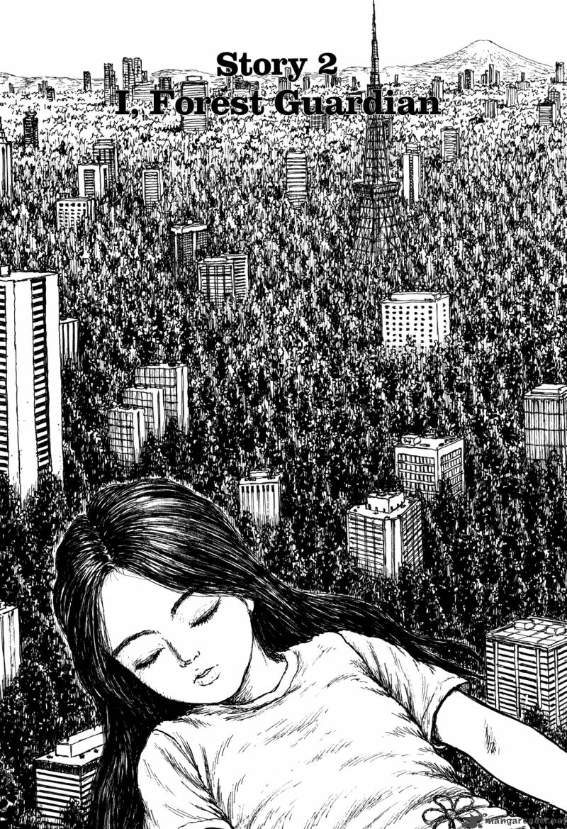 Miyoris Forest 1 29