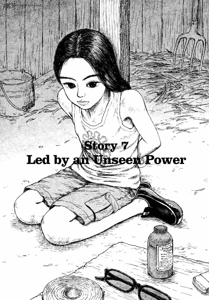 Miyoris Forest 7 1