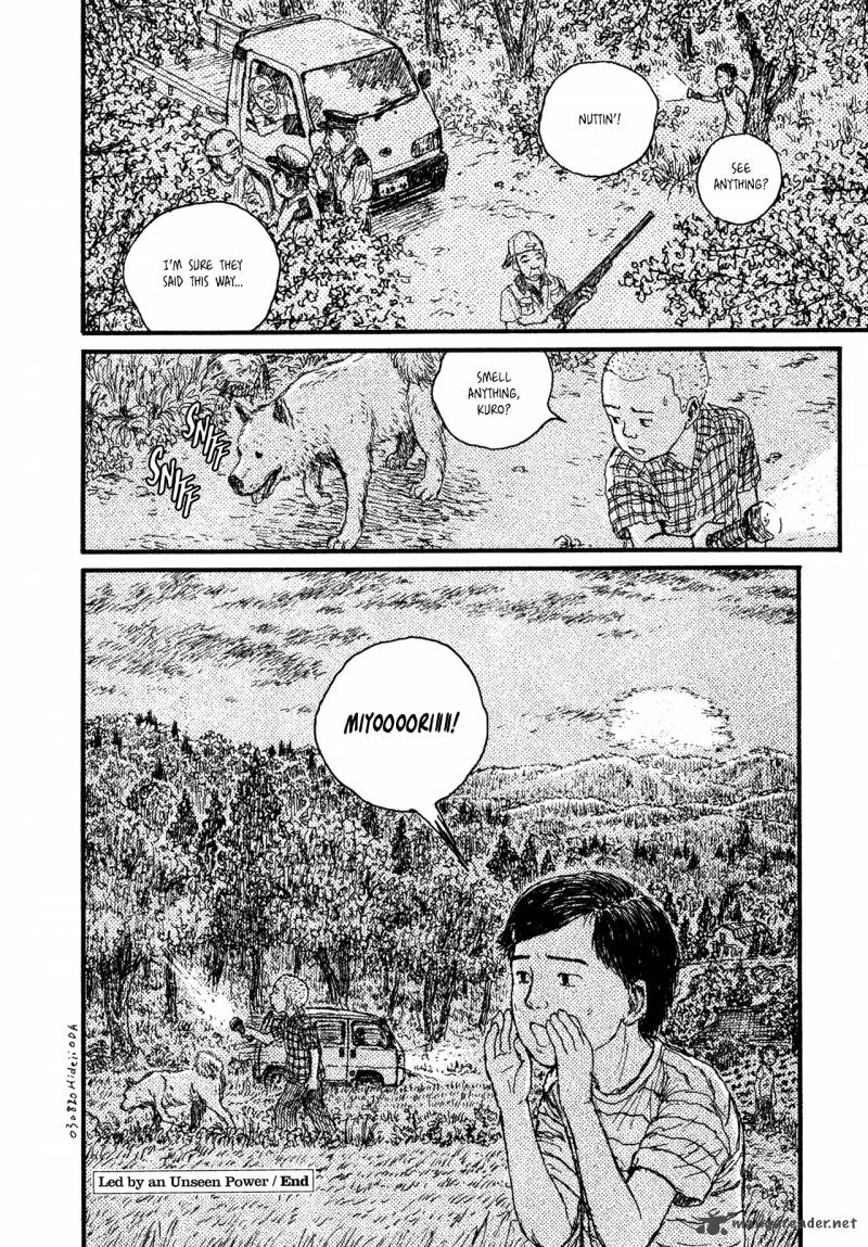Miyoris Forest 7 24