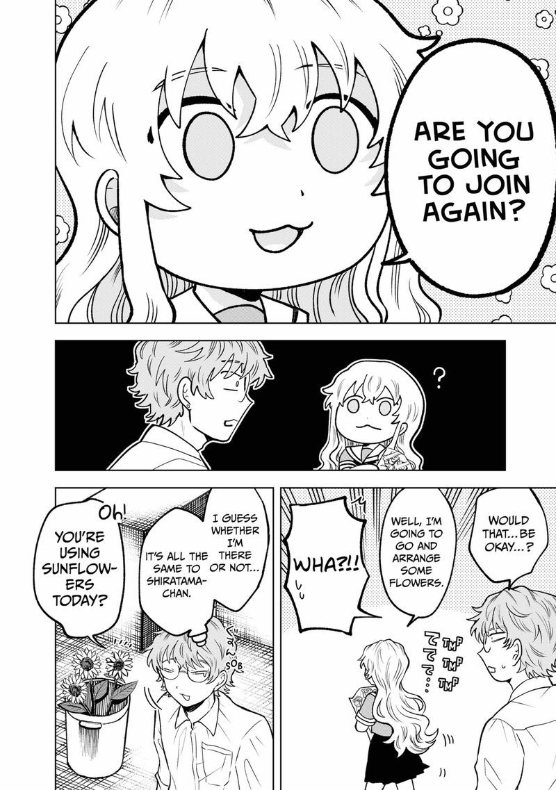 Moebana 20 20