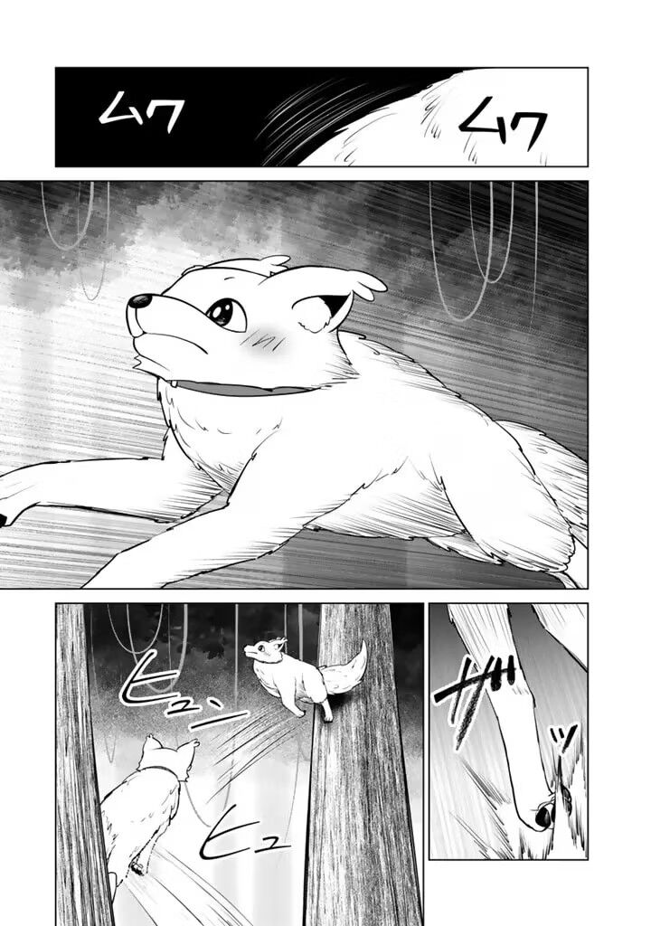 Mofumofu To Isekai Bouken Meshi 19b 16