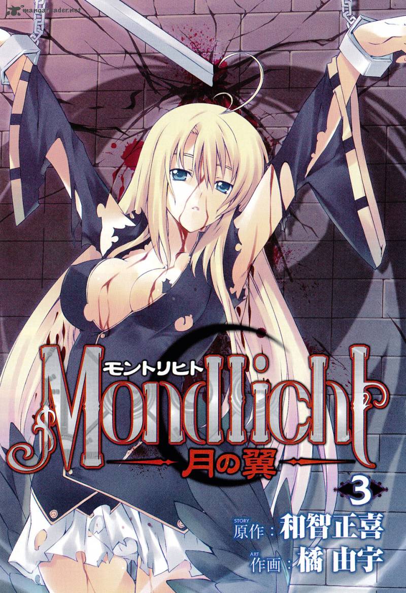 Mondlicht Tsuki No Tsubasa 13 3