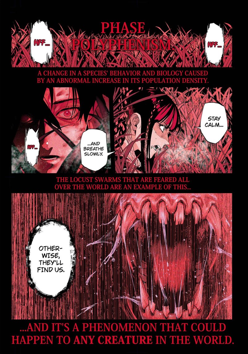 Monkey Hunting 1 1