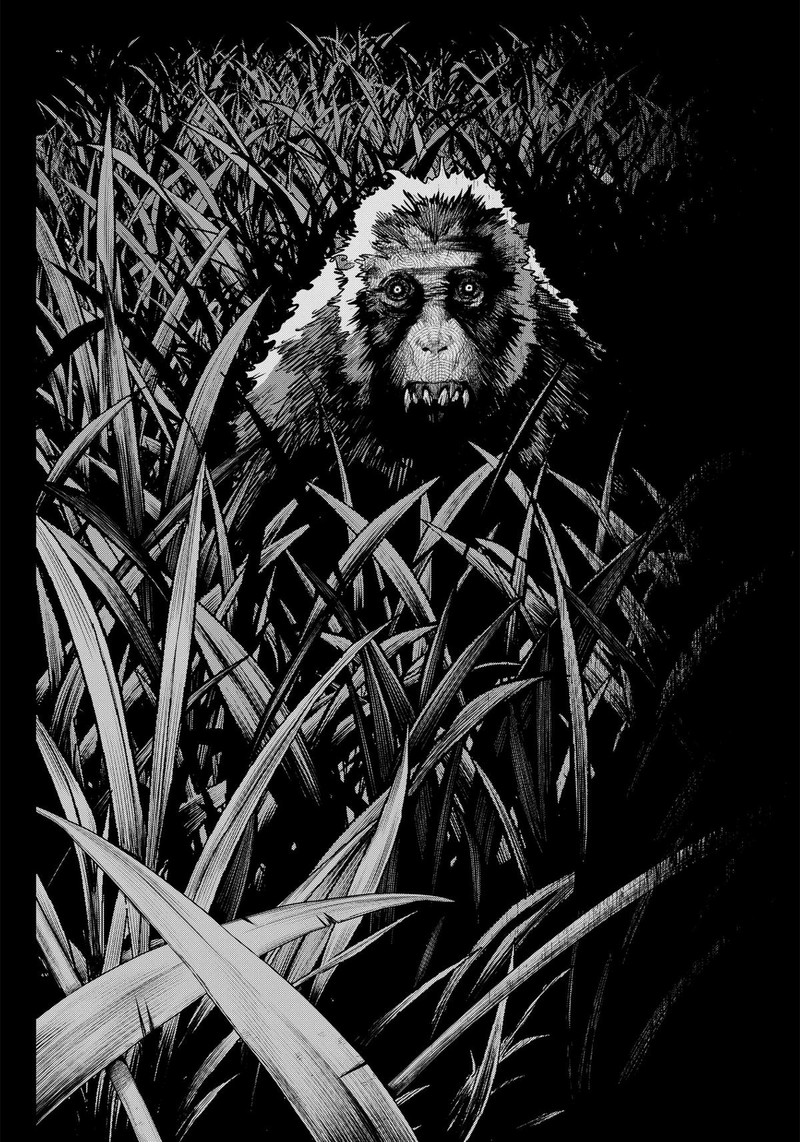 Monkey Hunting 1 56