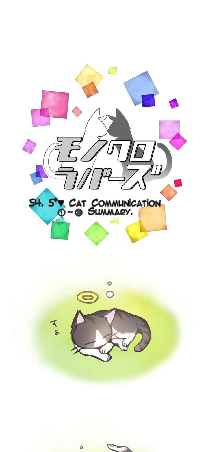 Monochrome Lovers 54e 26