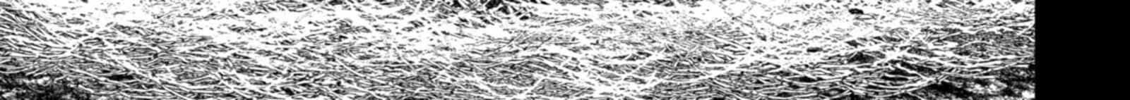 Monster Ga Afureru Sekai Ni Natta Node Suki Ni Ikitai To Omoimasu 51a 10