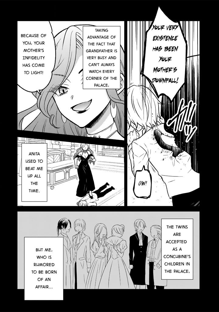 Moto Ansatsusha Tensei Shita Kizoku No Reijou Ni Narimashita 26 14