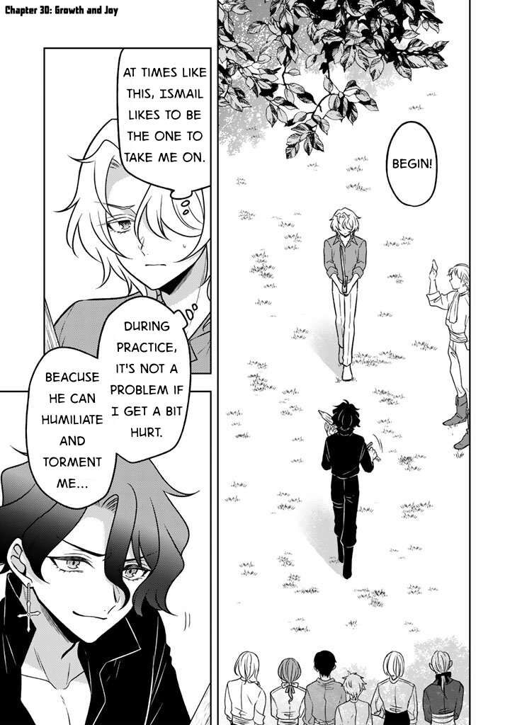 Moto Ansatsusha Tensei Shita Kizoku No Reijou Ni Narimashita 30 1