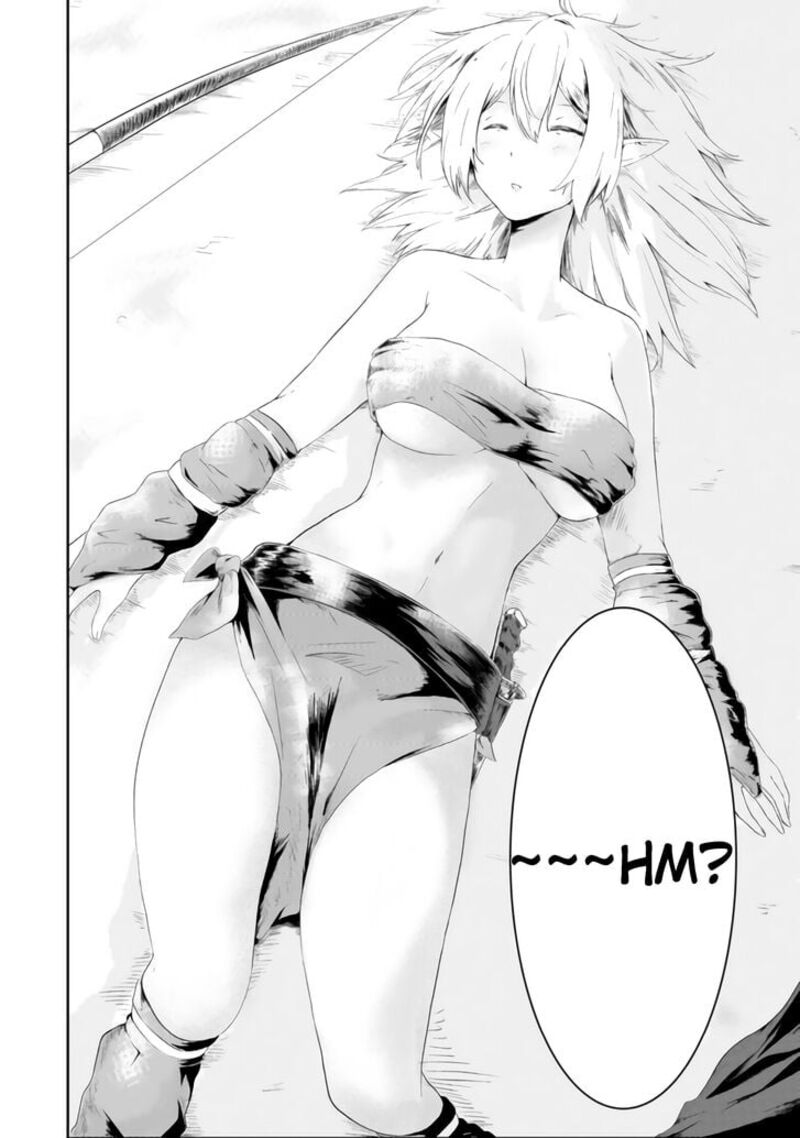 Mujintou De Elf To Kyoudou Seikatsu 1 3