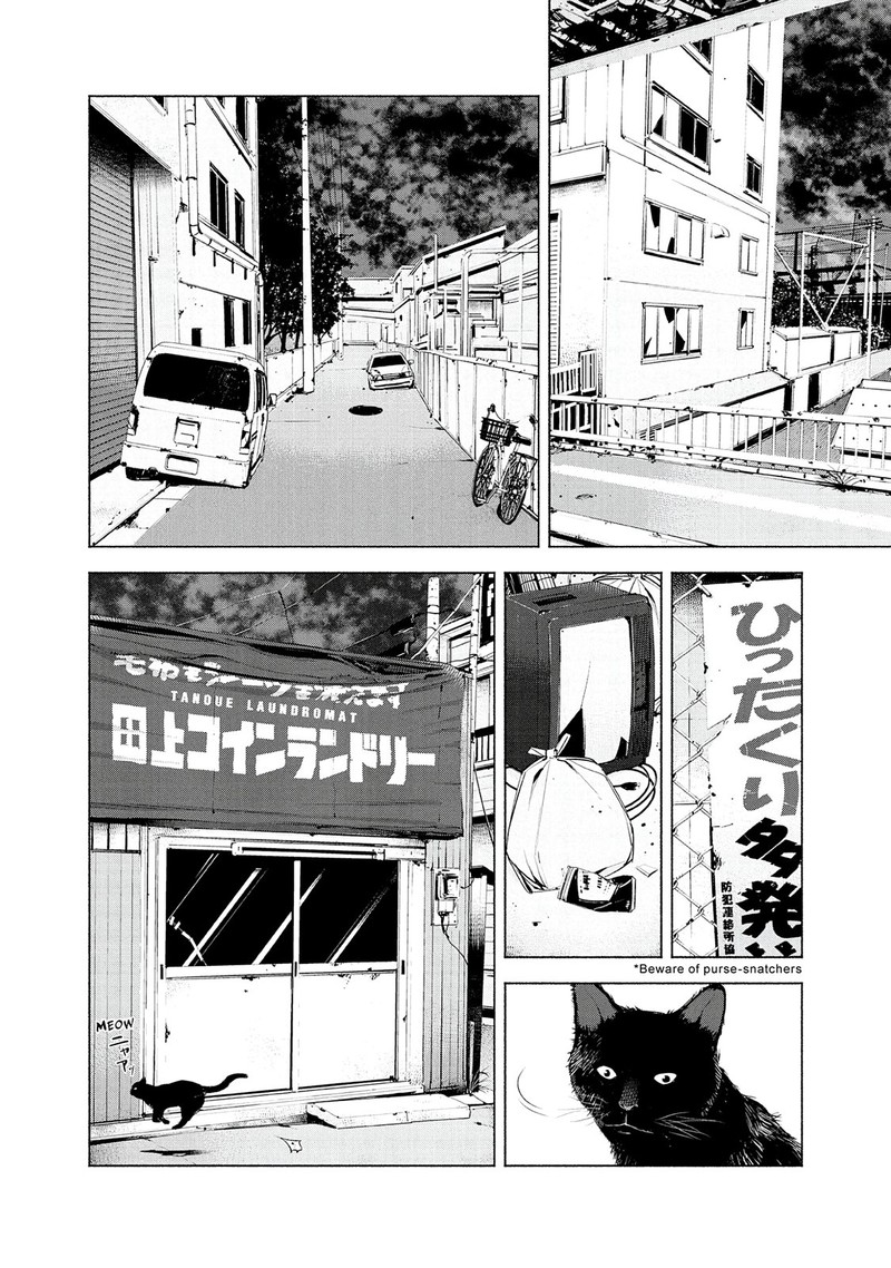 Museum The Serial Killer Is Laughing In The Rain 11 10