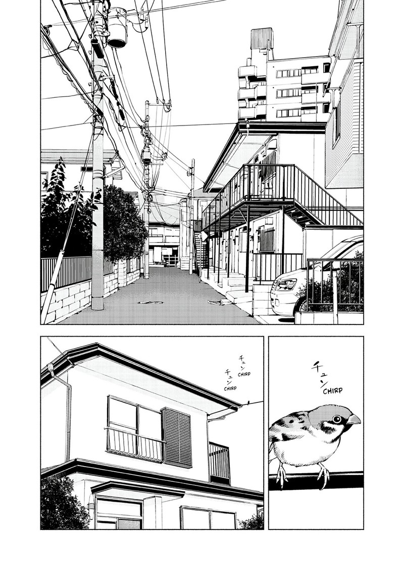 Museum The Serial Killer Is Laughing In The Rain 24 20