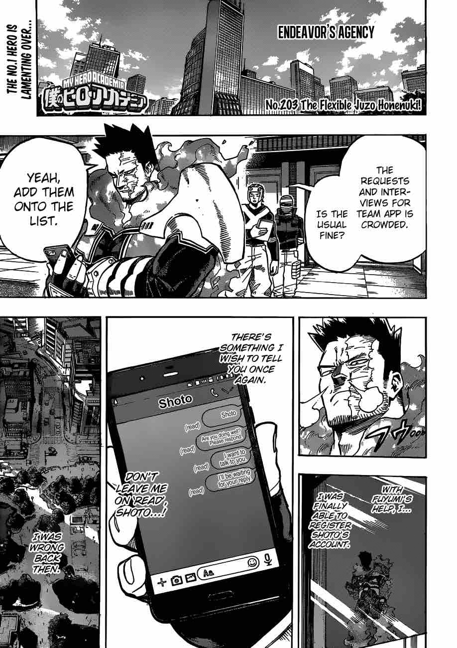 My Hero Academia 203 1