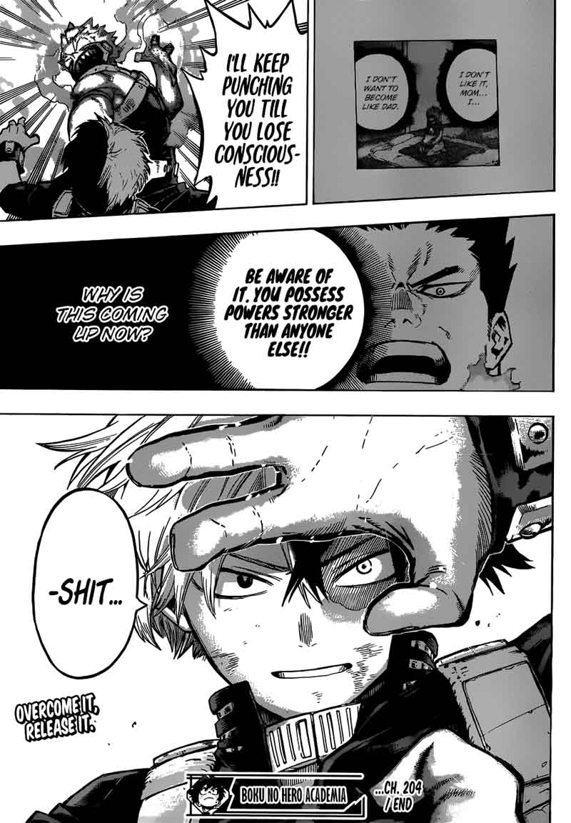 My Hero Academia 204 14