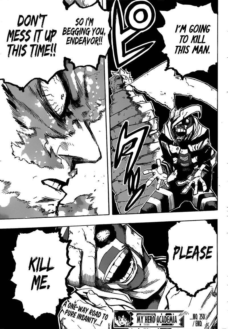 My Hero Academia 250 13