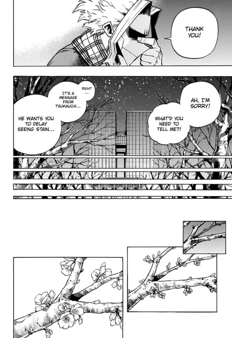 My Hero Academia 257 16