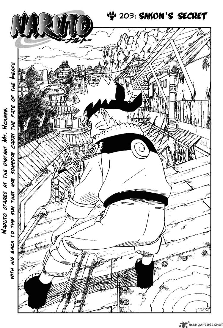Naruto 203 1