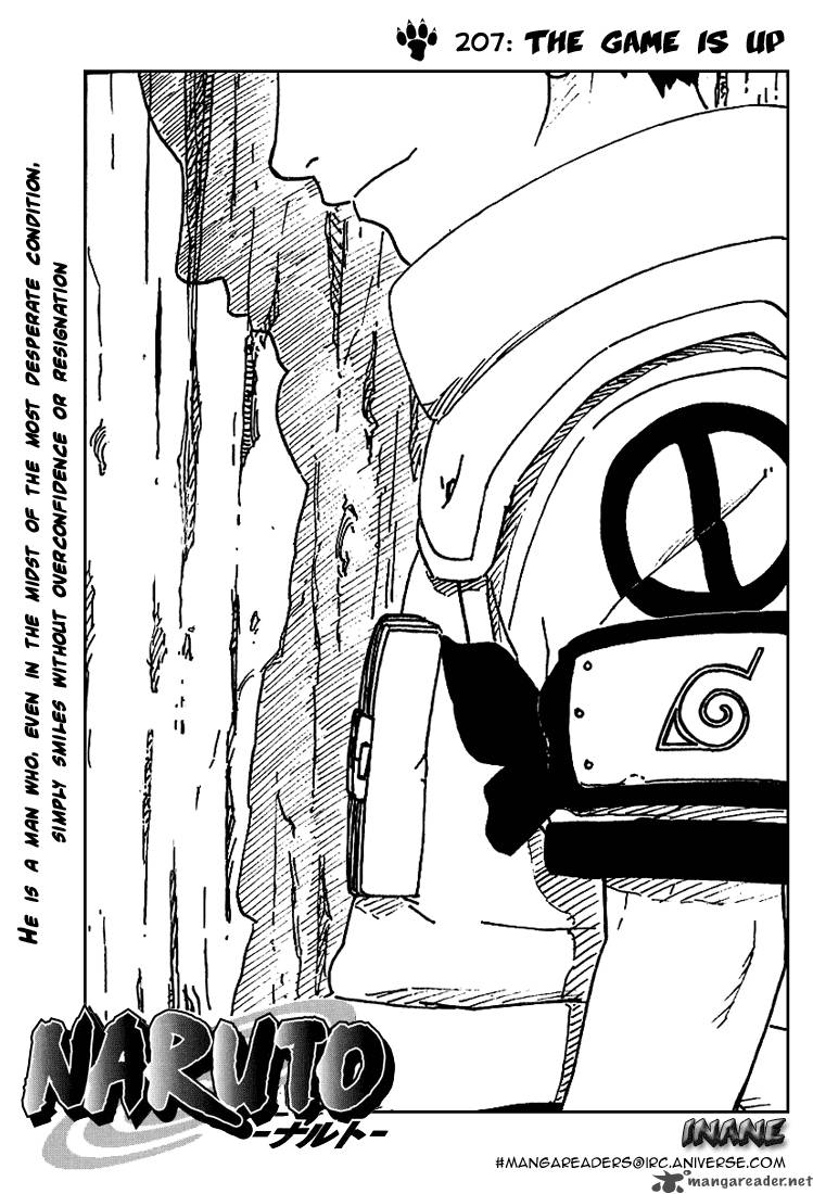 Naruto 207 2