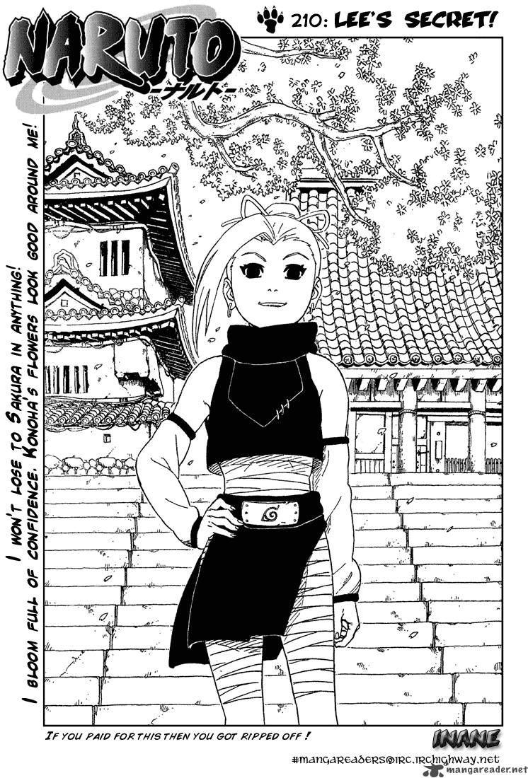 Naruto 210 2