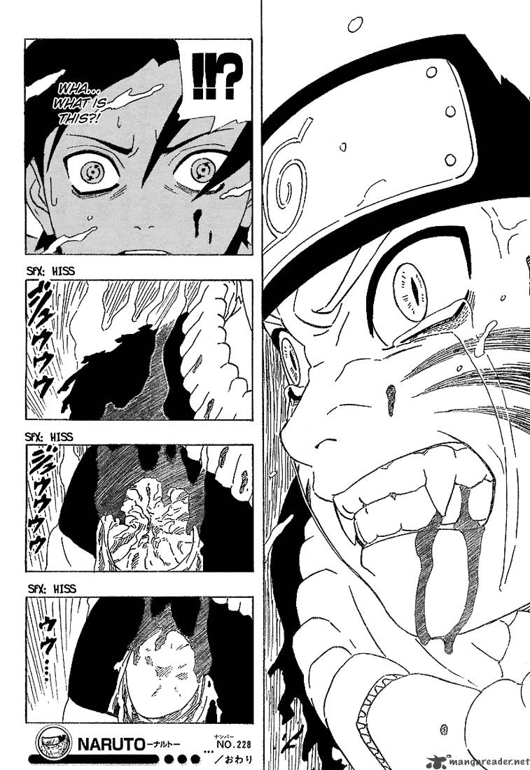 Naruto 228 17