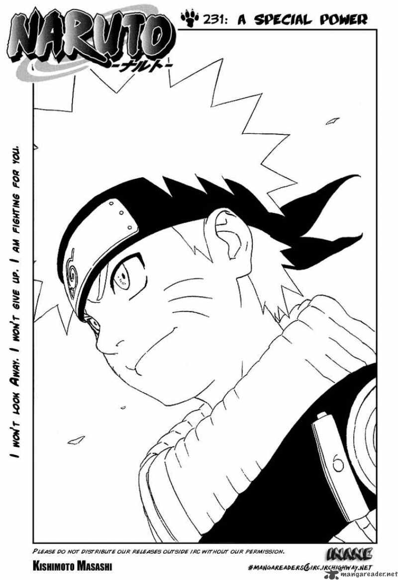 Naruto 231 1