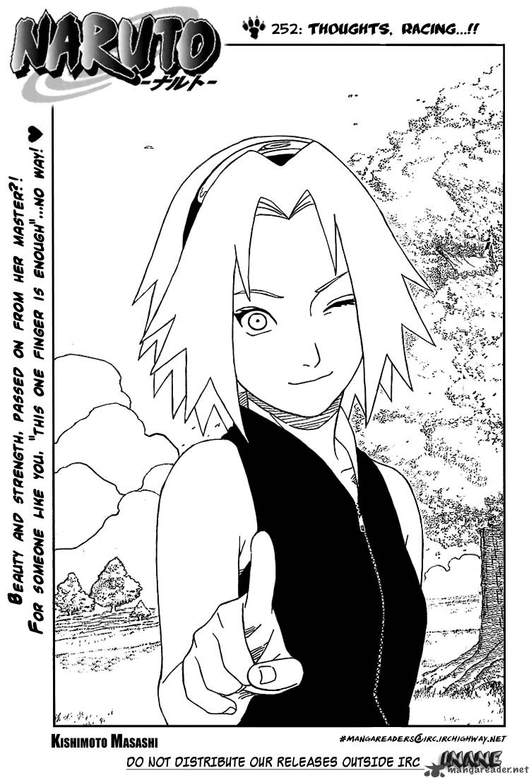 Naruto 252 1