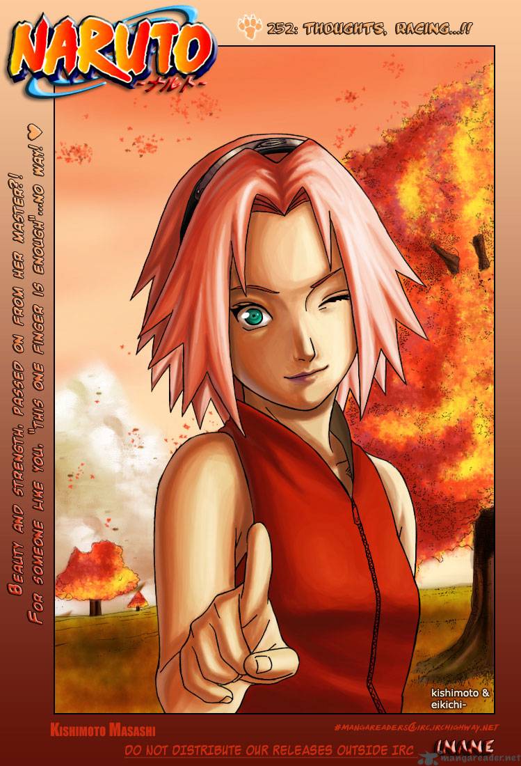 Naruto 252 2