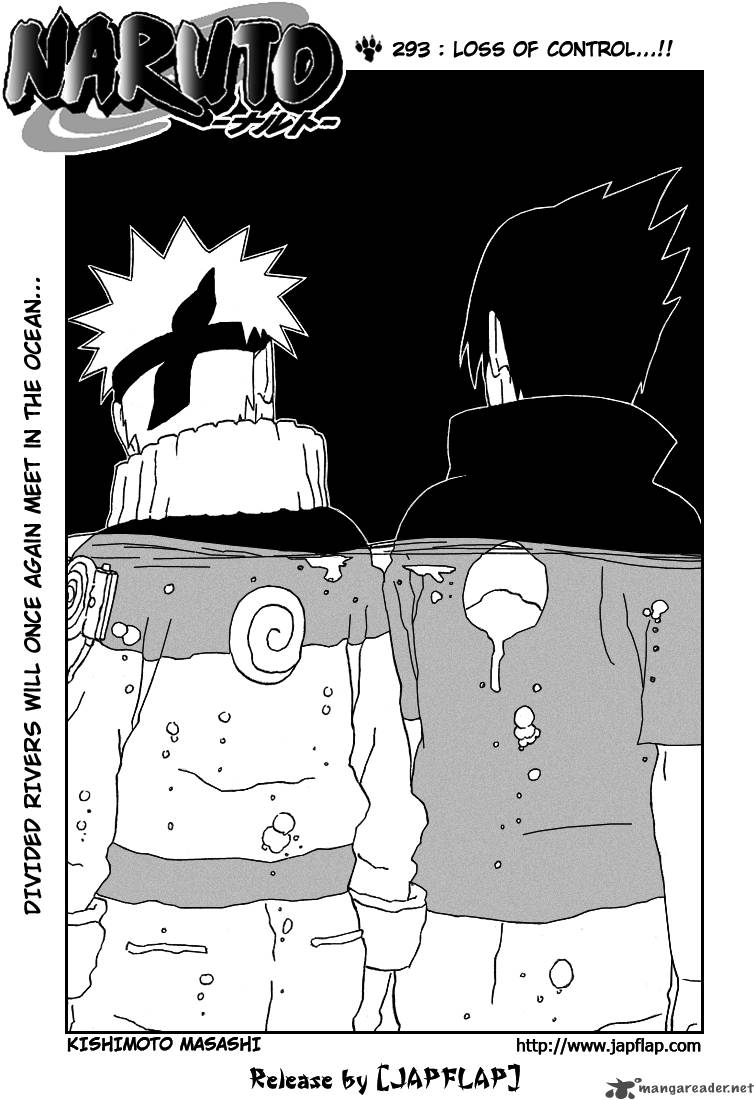 Naruto 293 1