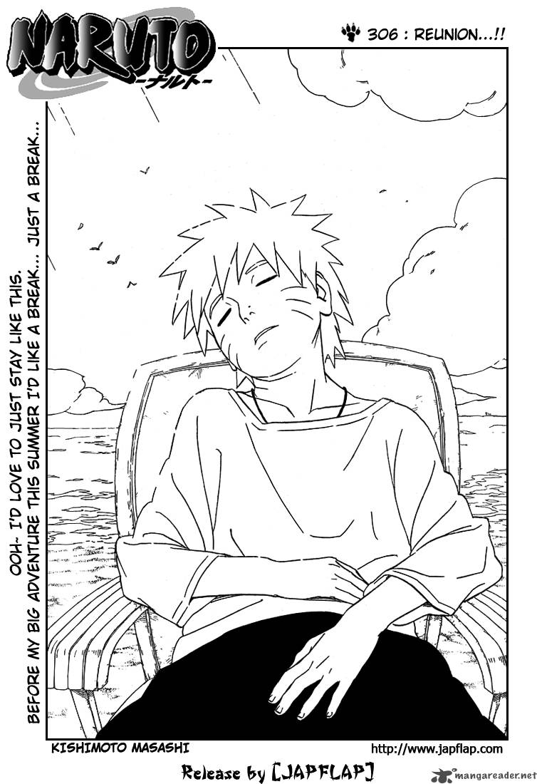Naruto 306 1