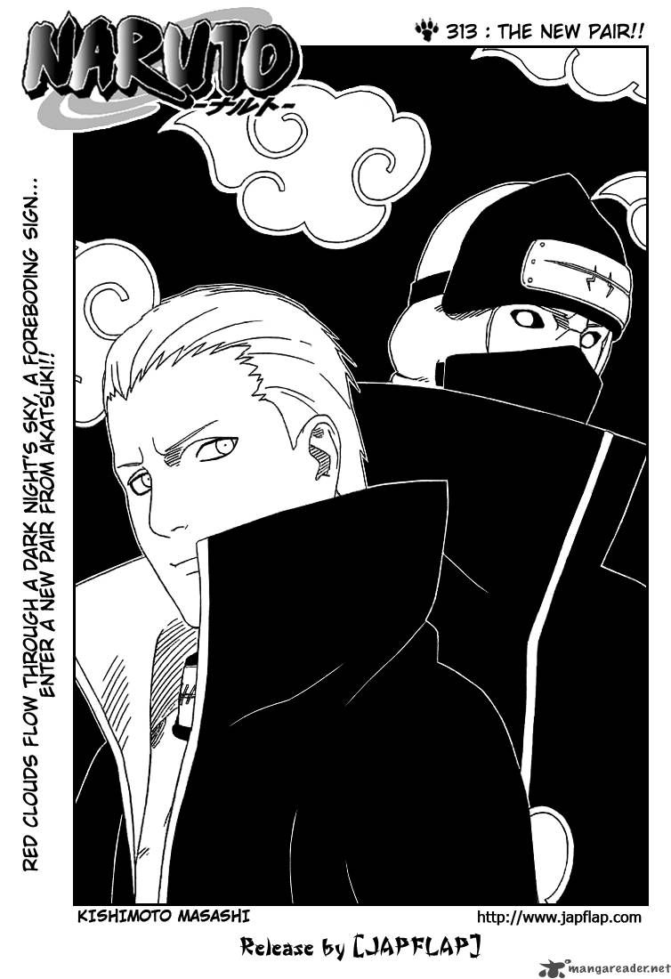 Naruto 313 1