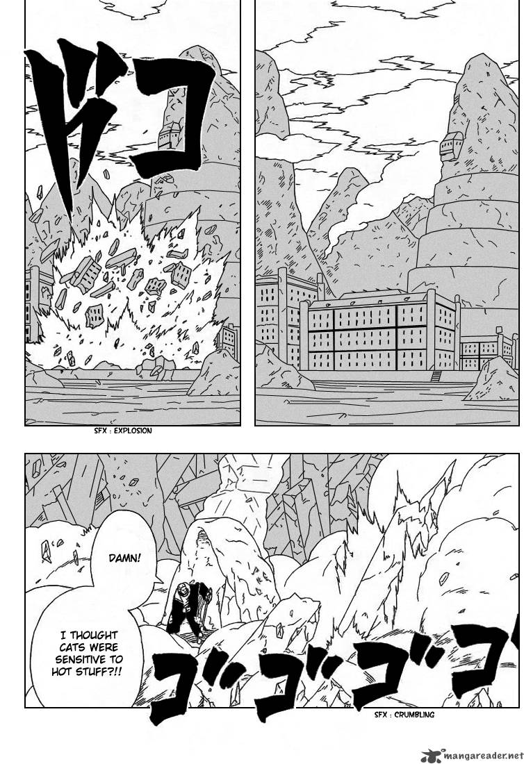 Naruto 313 14