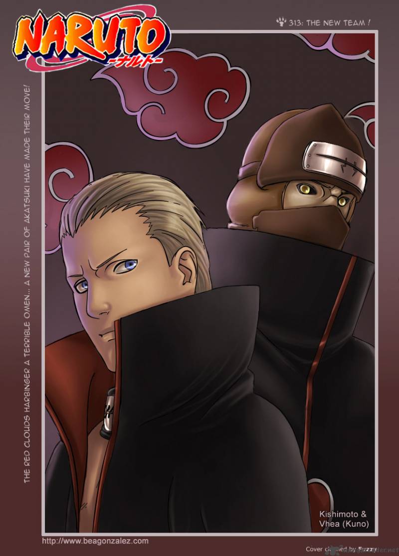 Naruto 313 3