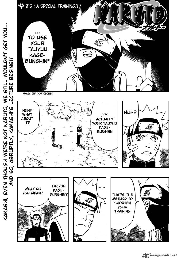 Naruto 315 1