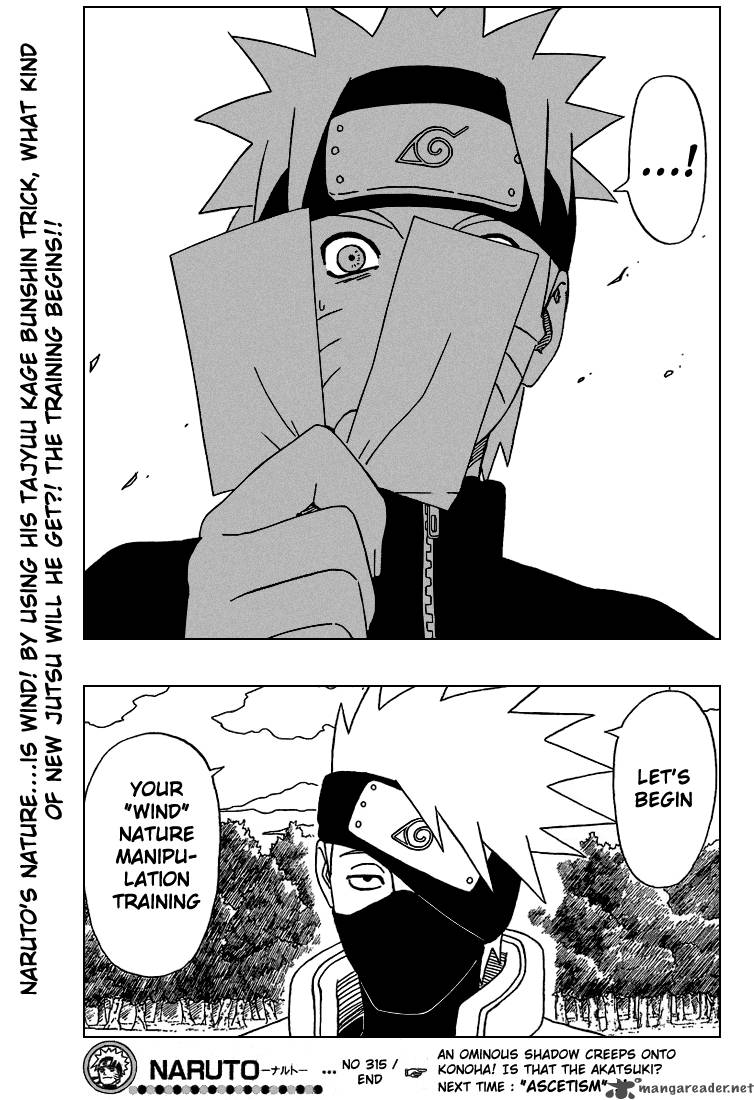 Naruto 315 17