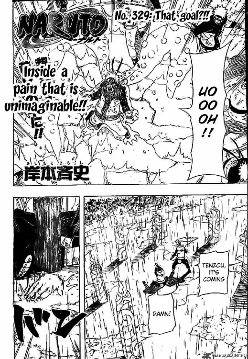 Naruto 329 2
