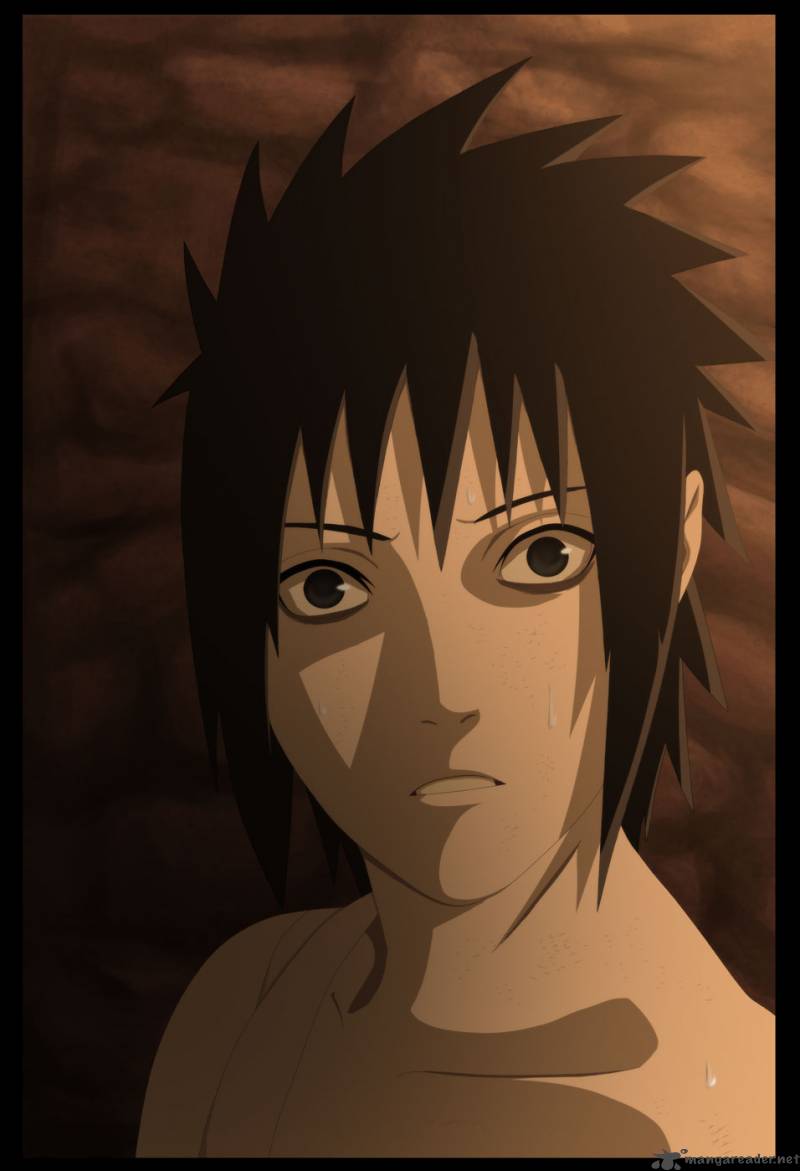 Naruto 397 17