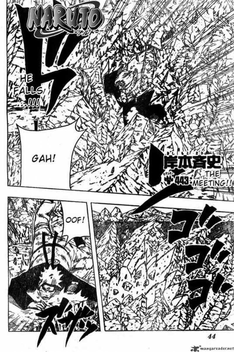 Naruto 443 2