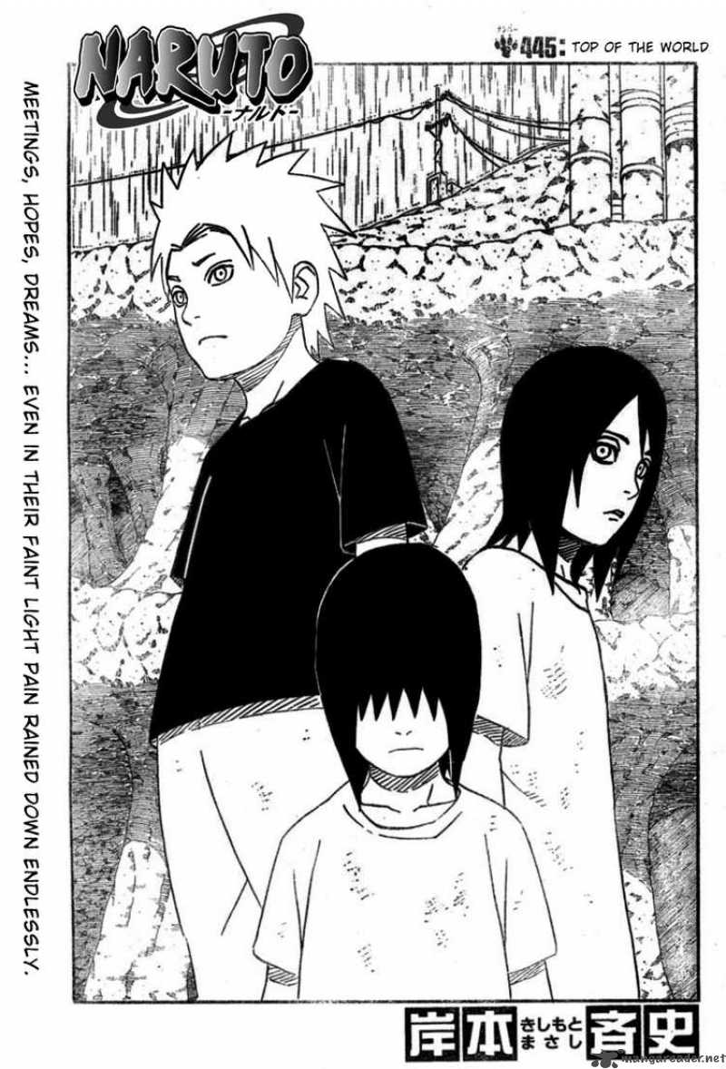 Naruto 445 1