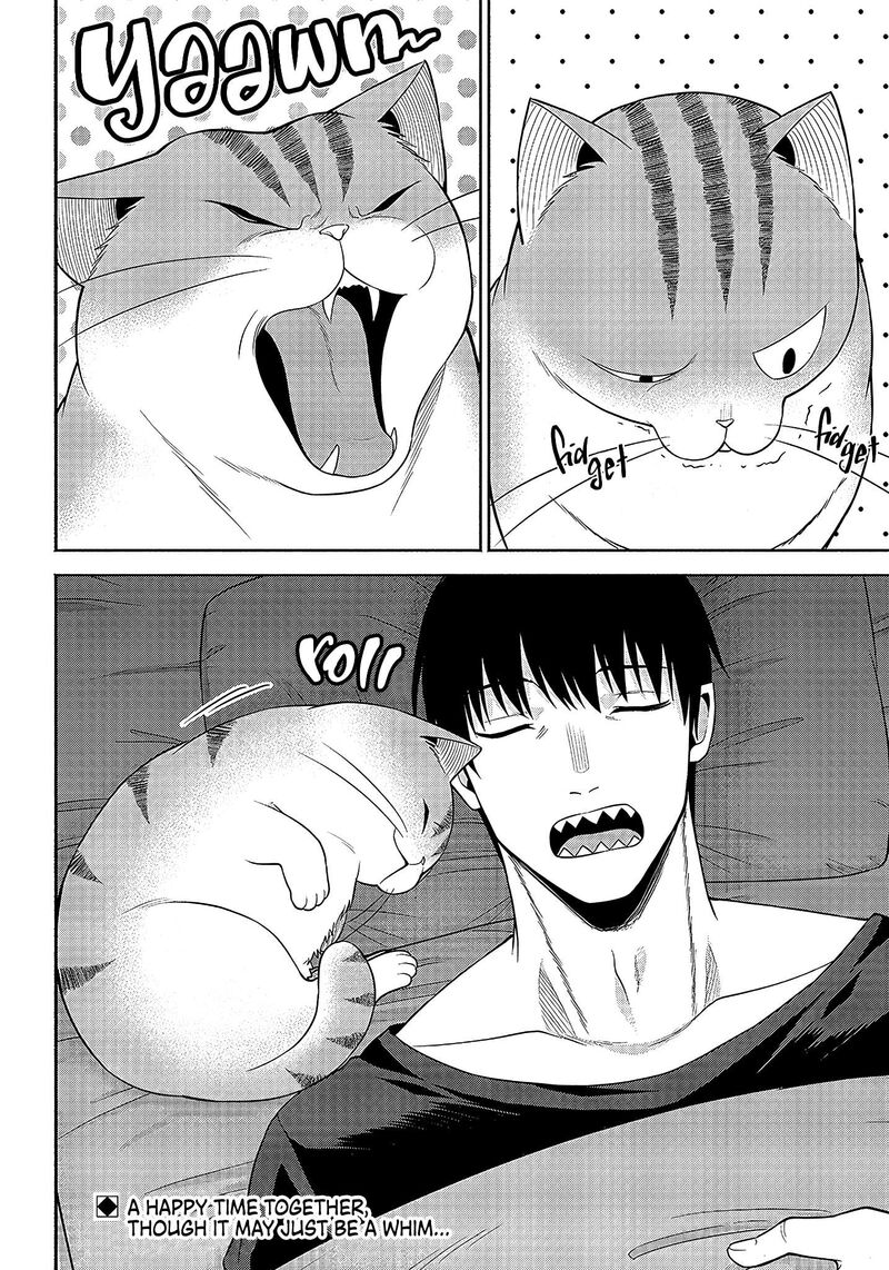 Neko Ga Gotoku 14 7