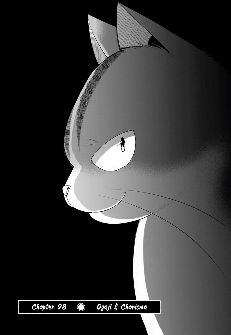 Neko Ga Gotoku 28 3