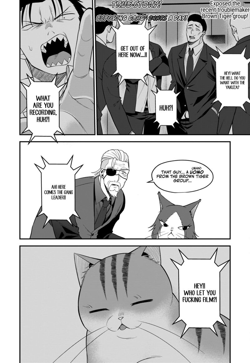 Neko Ga Gotoku 30 11