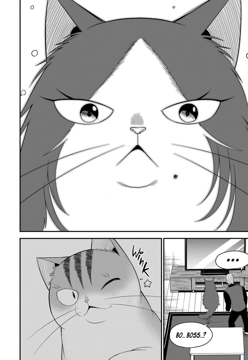 Neko Ga Gotoku 30 13