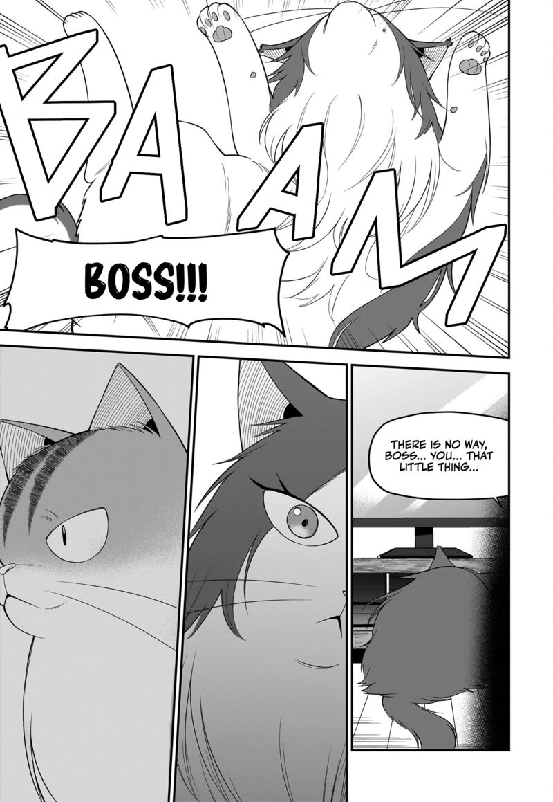 Neko Ga Gotoku 30 14
