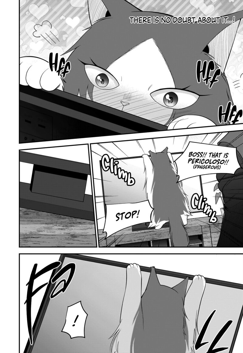 Neko Ga Gotoku 30 15