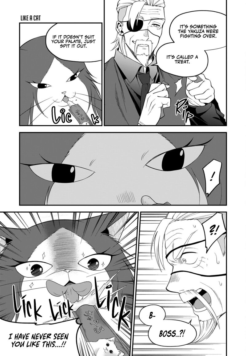 Neko Ga Gotoku 30 8