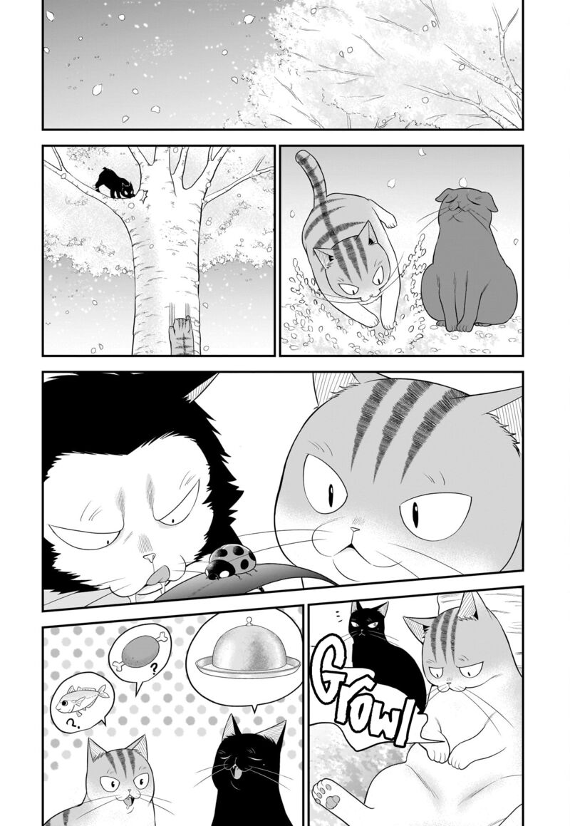 Neko Ga Gotoku 33 6